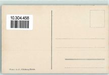 3600 Scherzligen Thun - Eiger Mönch Jungfrau Schwäne auf dem Thunersee