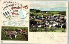 8636 Wald ZH 1900 - Kantonale landwirrtschaftliche Ausstellung Kühe