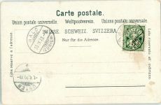 8636 Wald ZH 1900 - Kantonale landwirrtschaftliche Ausstellung Kühe