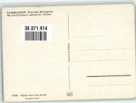 2350 Saignelégier Foto AK