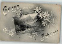 7250 Klosters - Seealpe Edelweiß