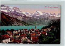 8877 Murg 1921 - Teilansicht, Wallensee, gute Erhaltung AK