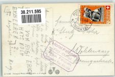 Rigi Kulm 1940 Foto AK Rinderherde Berneralpen