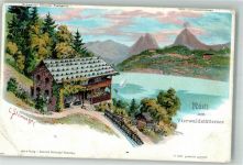 6441 Rütli Gebrauchsspuren sug Steinmann, C. Künstlerpostkarte Vierwaldstättersee