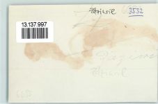 3532 Zäziwil FOTO KEINE AK Ort handschriftlich