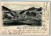 3555 Trubschachen 1899 Foto AK