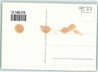 9533 Kirchberg SG Gebrauchsspuren Fliegeraufnahme