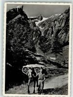 Alpstein Foto AK Seealpsäumer Säntis Foto Eggenberger Lastpferd