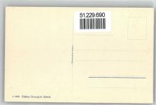 3800 Unterseen - Panorama