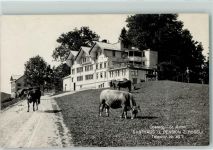 9413 Oberegg - Gasthaus Rössli Kühe