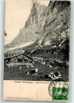 Grosse Scheidegg 1914 - Kühe