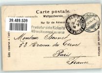 Grosse Scheidegg 1914 - Kühe