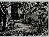 6612 Ascona Moscia - Gartenrestaurant v. Hotel Monte