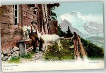 Auf der Alp , Ziege , Croques alpestre Verlag C.P.N. Nr. 10