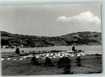 6314 Unterägeri - Campiingplatz