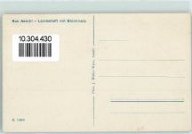 3703 Aeschi b. Spiez - Blümlisalp