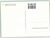 7250 Klosters Winter Seilbahn Gasthaus Pischa