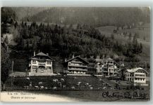 1660 Château-d´Oex 1914 - Chalets et Paturage Kühe