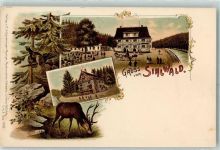 8135 Sihlwald Lithographie Hirsch Auerhahn