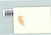 6162 Entlebuch FOTO KEINE AK Kirche Neujahr Brunnen Denkmal Foto 10cm x 7cm, rückseitig Haftspuren