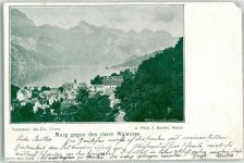 8877 Murg 1901 Gebrauchsspuren