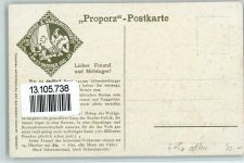 Für Proporz & Wahlgerechtigkeit - Volksabstimmung 1910 AK