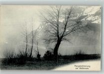 8880 Walenstadt Foto AK Wallensee