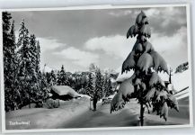 6010 Kriens - Winter