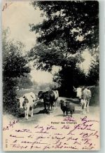 1213 Petit-Lancy Lancy 1901 - Retour de Champs Ort lt. Stempel