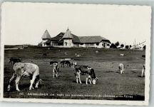 2350 Saignelégier Foto AK Halle aux marchés