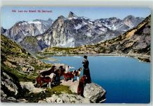 9304 Bernhardzell - Pater mit Bernhardinerhunden am See