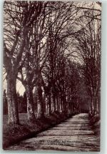 2067 Chaumont 1919 - L`Allee des Tileeuls