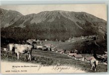 1875 Morgins 1905