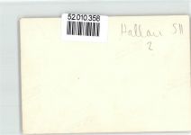 8215 Hallau Privatfoto KEINE AK Marsch Kapelle