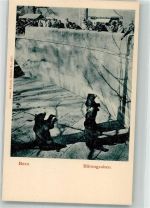 3000 Bern Berne 1900 - Bären