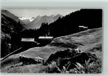 7250 Klosters - Sommermorgen bei der Schwendi Blick gegen die Silvrettagruppe Kuh