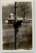 3000 Bern Berne Gebrauchsspuren Foto keine AK