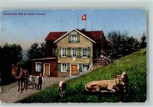 8496 Steg im Tösstal 1926 Gebrauchsspuren Hörnli-Kulm - Bauer mit Milchkarren