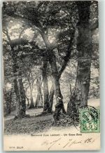 1897 Bouveret - Un Sous Bois