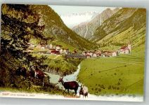6487 Göschenen Foto AK Ziege