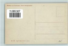 3952 Susten - Steinalp am Sustenpass Hotel Steingletscher