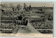 1290 Versoix 1911 Gebrauchsspuren Bise Glaciale