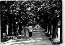 5330 Bad Zurzach - Promenade