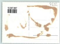 2515 Prêles Gebrauchsspuren Kuhherde See