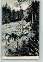 1882 Gryon - Arrive a la "Benjamine" a Solalex 1906, sehr gute Erhaltung AK