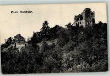 4448 Läufelfingen - Ruine Homburg