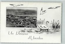 1400 Yverdon-les-Bains - Schwan Möwen Fliegeraufnahme