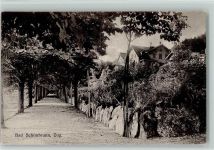 6300 Zug Zugo - Bad Schönbrunn Allee