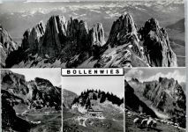 9058 Brülisau - Berggasthaus Bollenwies, Schafherde