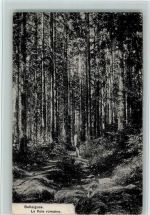 1338 Ballaigues 1916 - La Voie romains